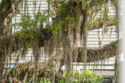 164 River Green Place photo 4