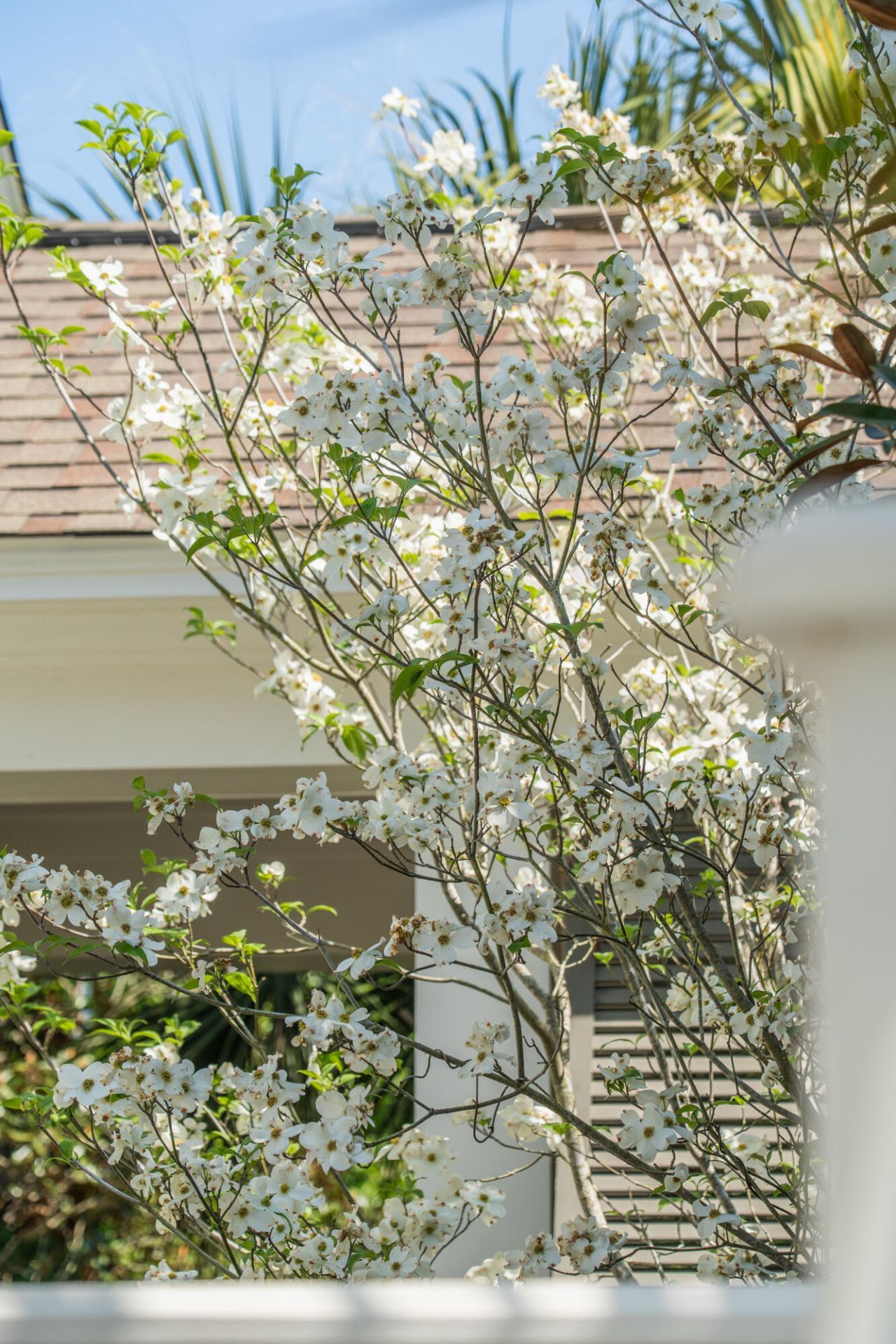 164 River Green Place Photo 63