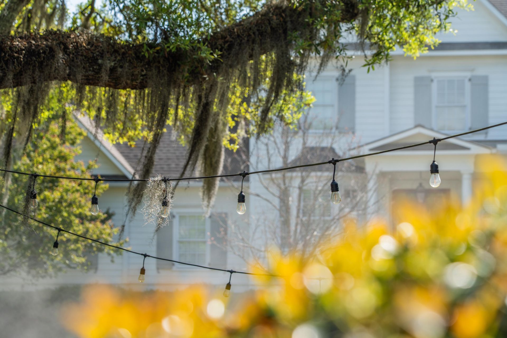 164 River Green Place Photo 67