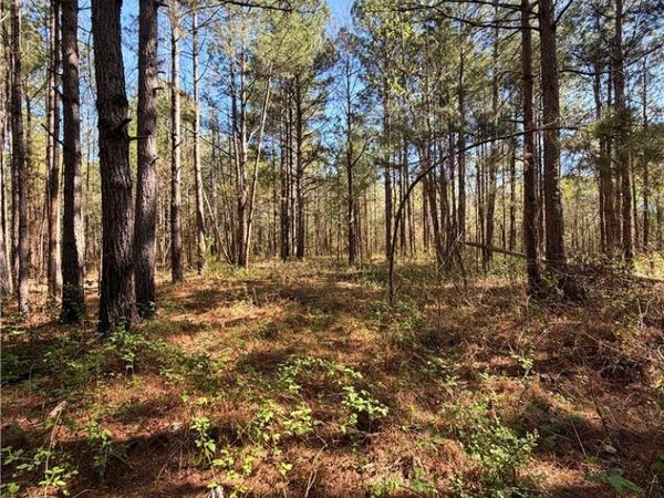 Clark Road , Maxton, NC 28364