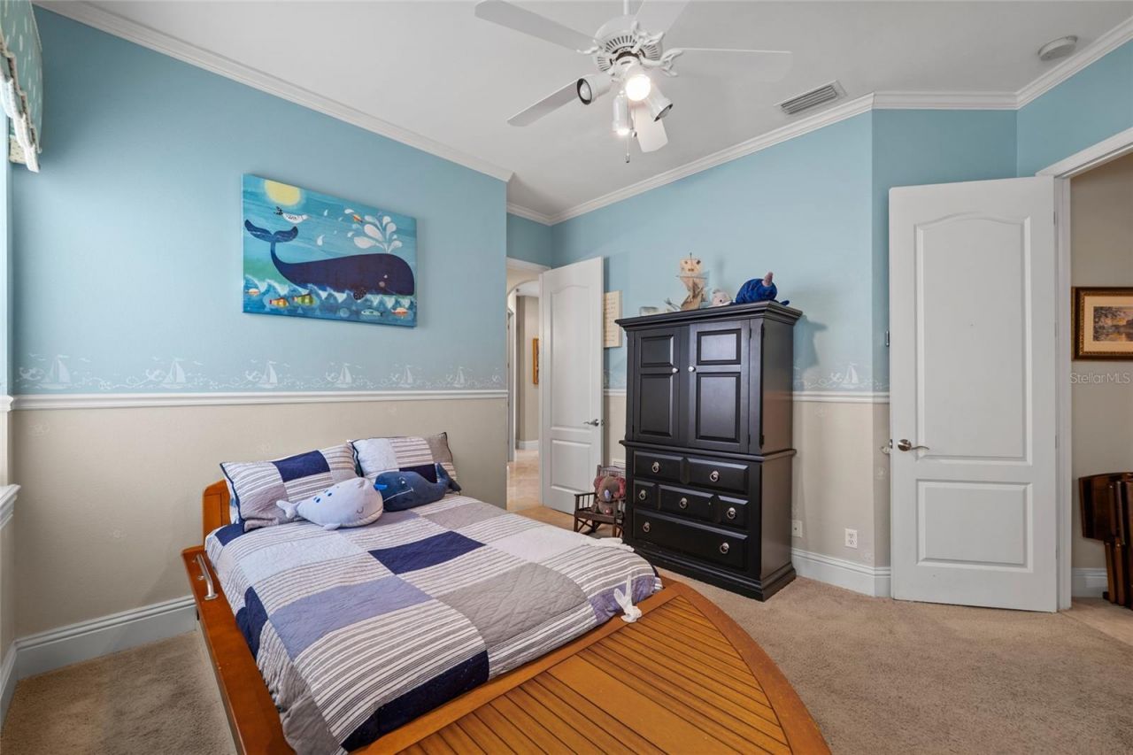 1368 Playmoor Drive, Palm Harbor, FL 34683 Photo