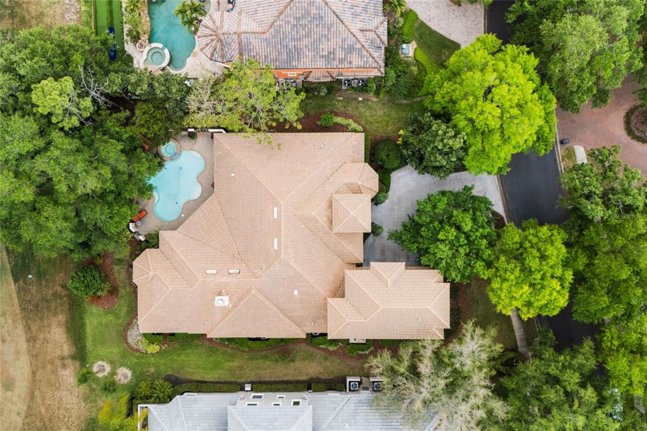 1368 Playmoor Drive, Palm Harbor, FL 34683 Photo