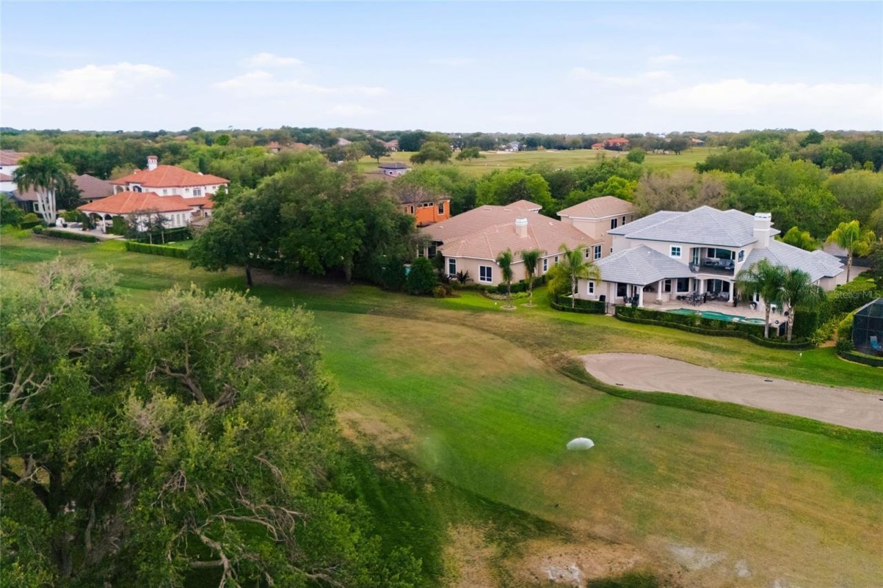 1368 Playmoor Drive, Palm Harbor, FL 34683 Photo