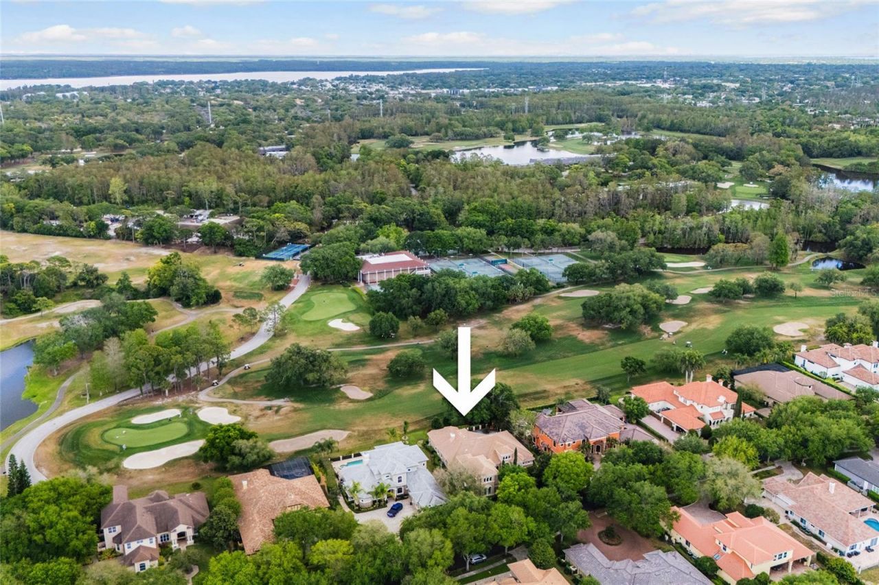 1368 Playmoor Drive, Palm Harbor, FL 34683 Photo