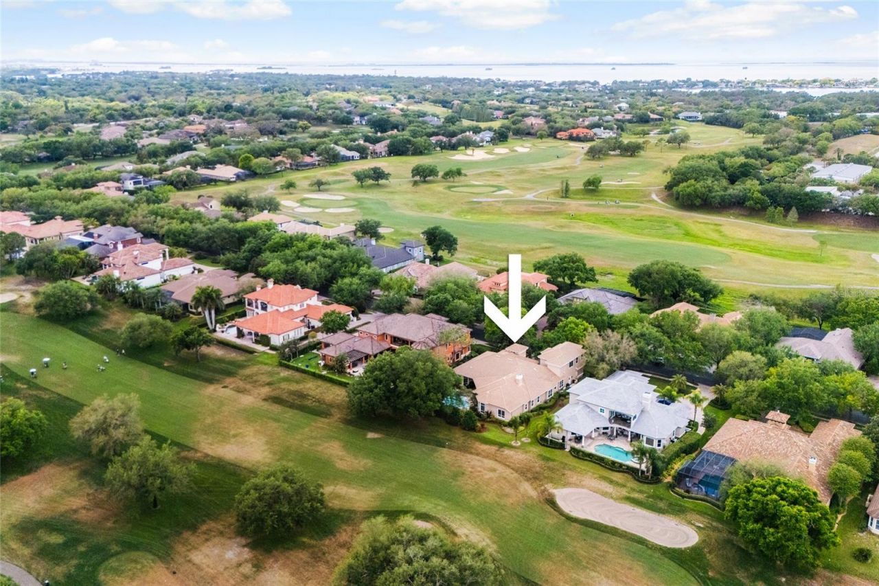 1368 Playmoor Drive, Palm Harbor, FL 34683 Photo