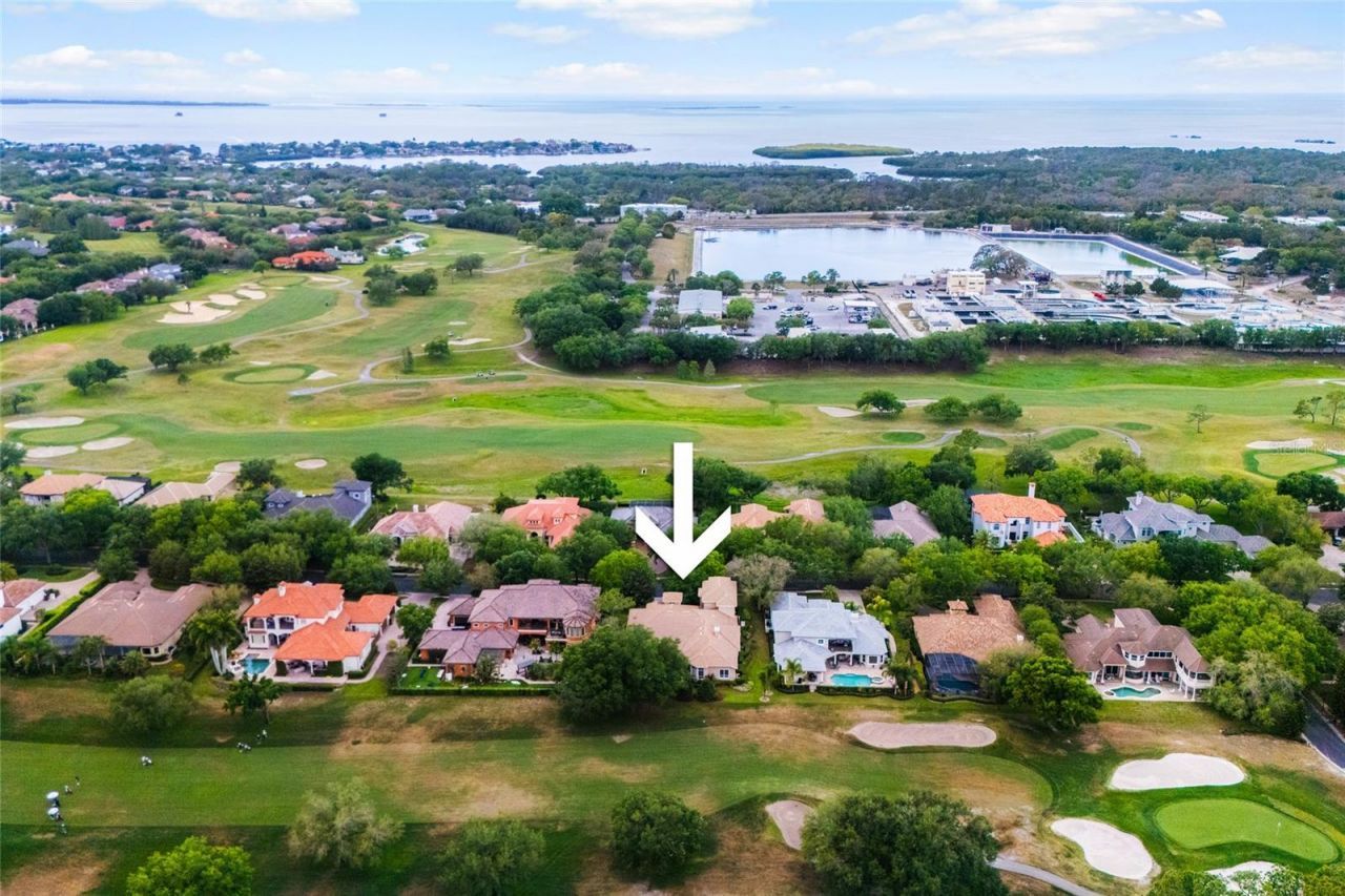 1368 Playmoor Drive, Palm Harbor, FL 34683 Photo