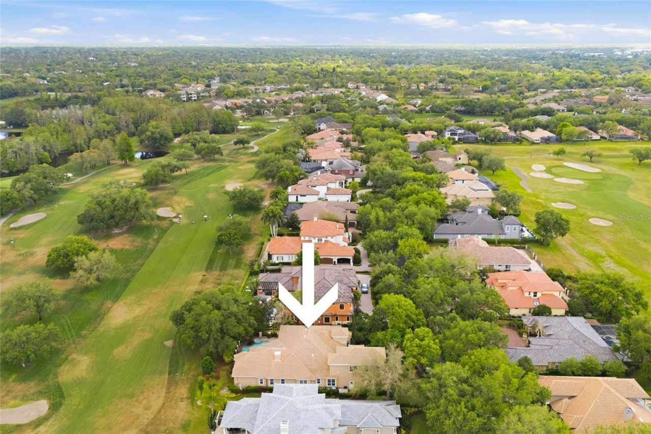 1368 Playmoor Drive, Palm Harbor, FL 34683 Photo