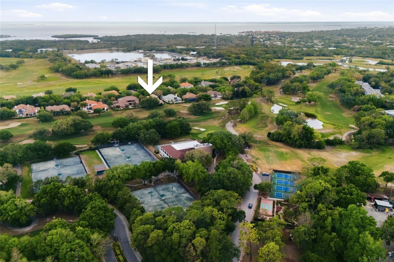 1368 Playmoor Drive, Palm Harbor, FL 34683 Photo