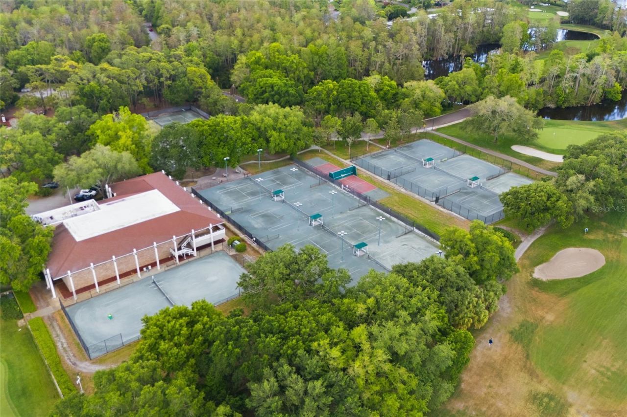 1368 Playmoor Drive, Palm Harbor, FL 34683 Photo