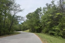 0 Longest Drive photo 4