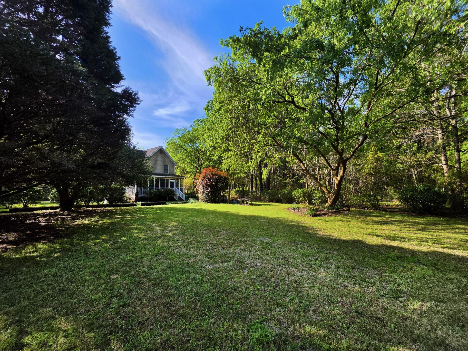 1183 White Road Photo 13