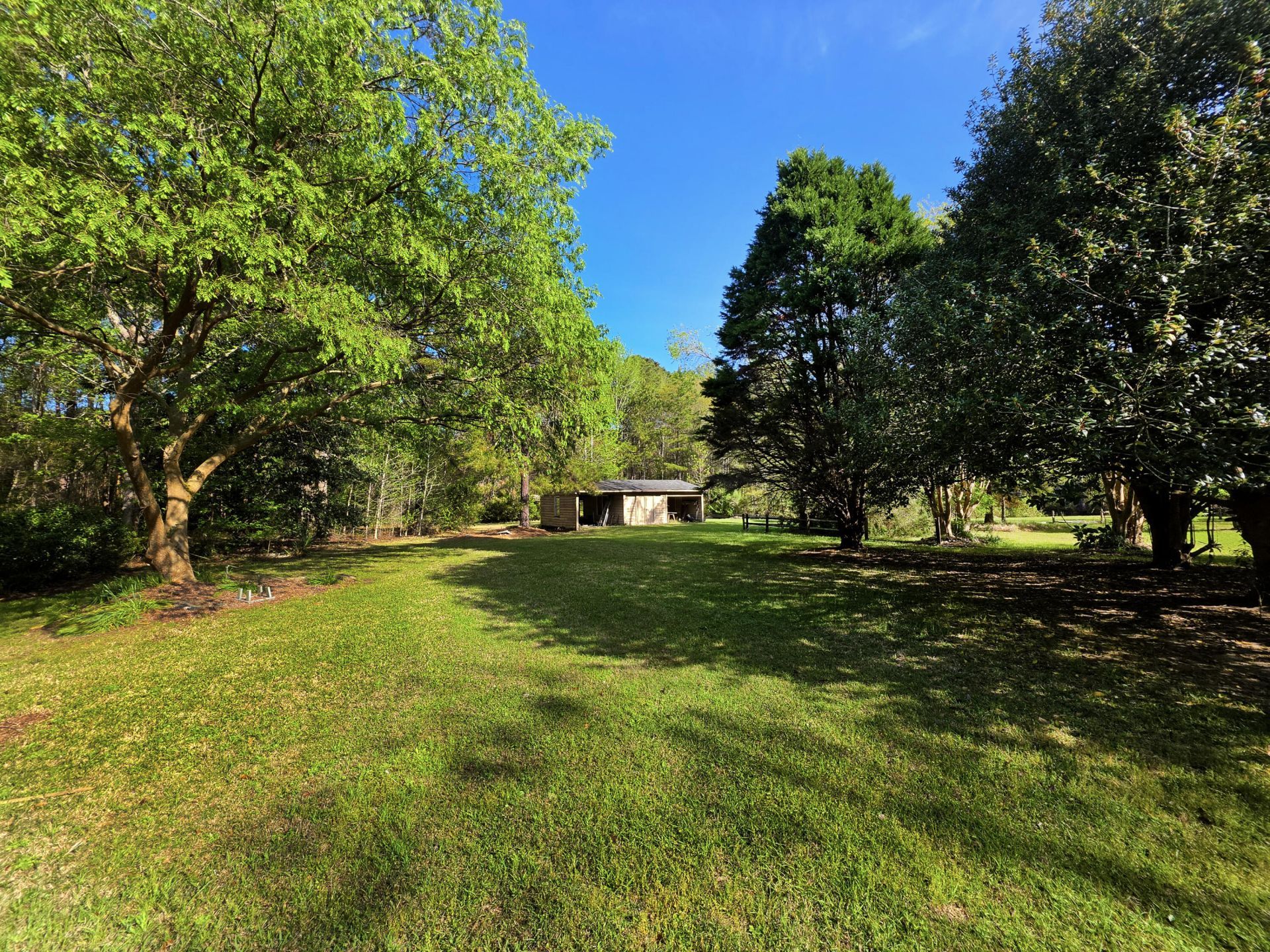 1183 White Road Photo 14