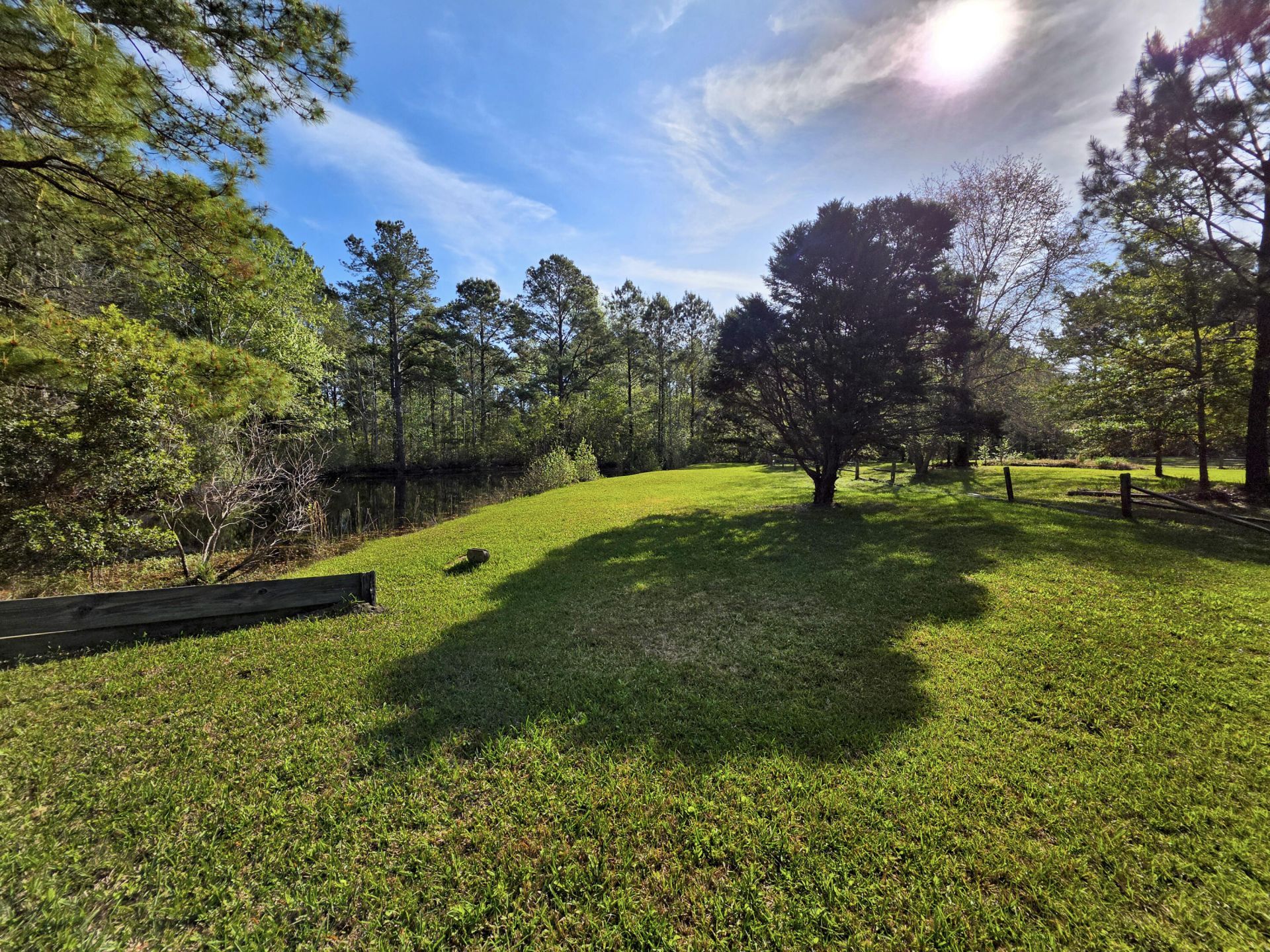 1183 White Road Photo 15