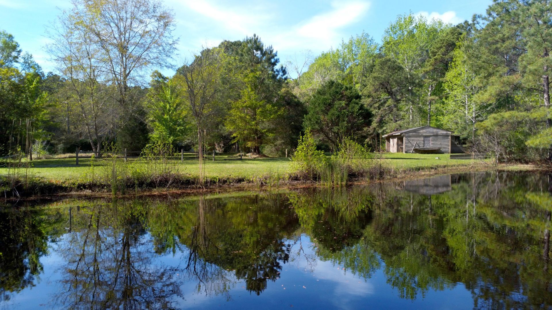 1183 White Road Photo 16