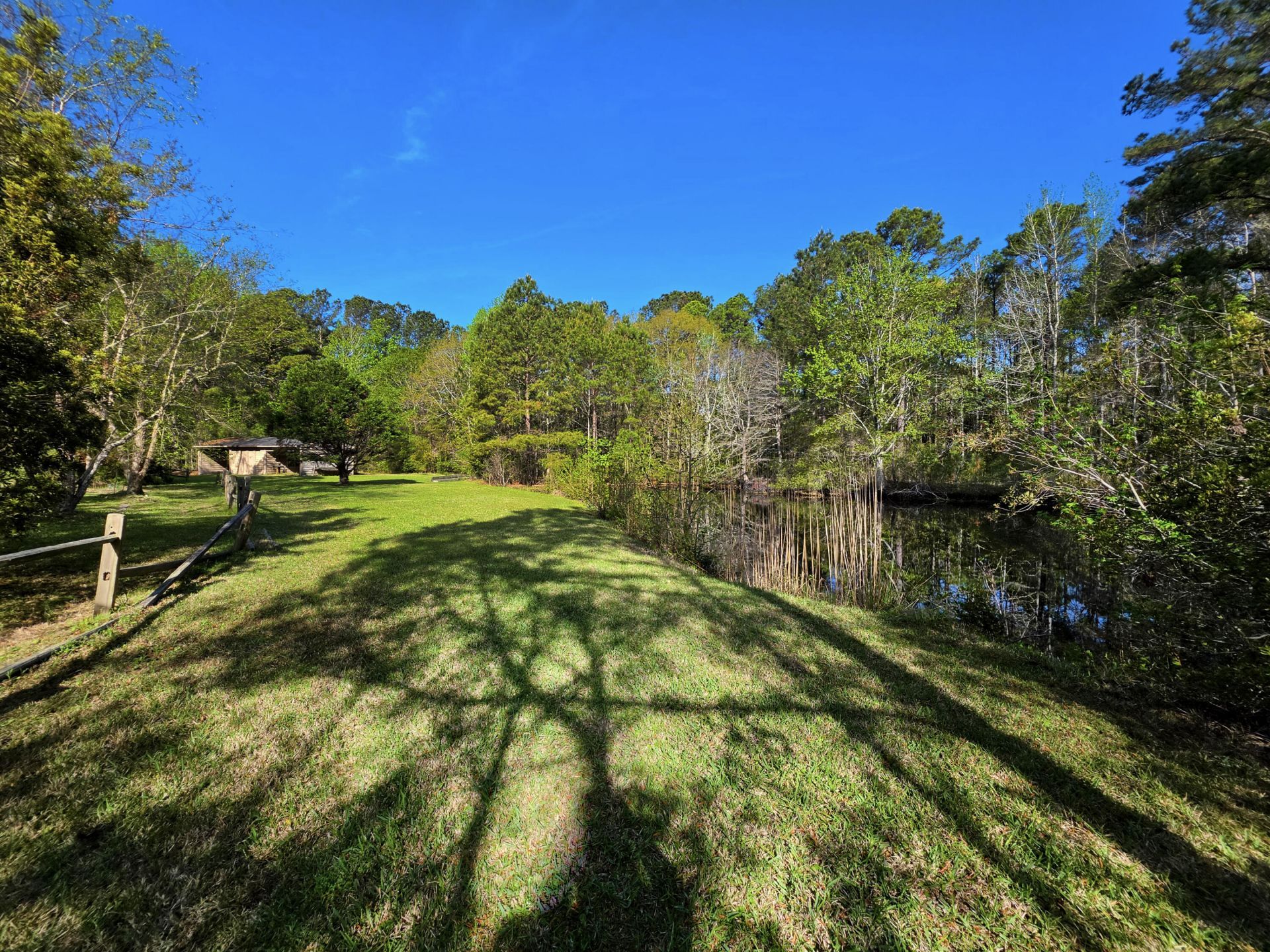 1183 White Road Photo 17