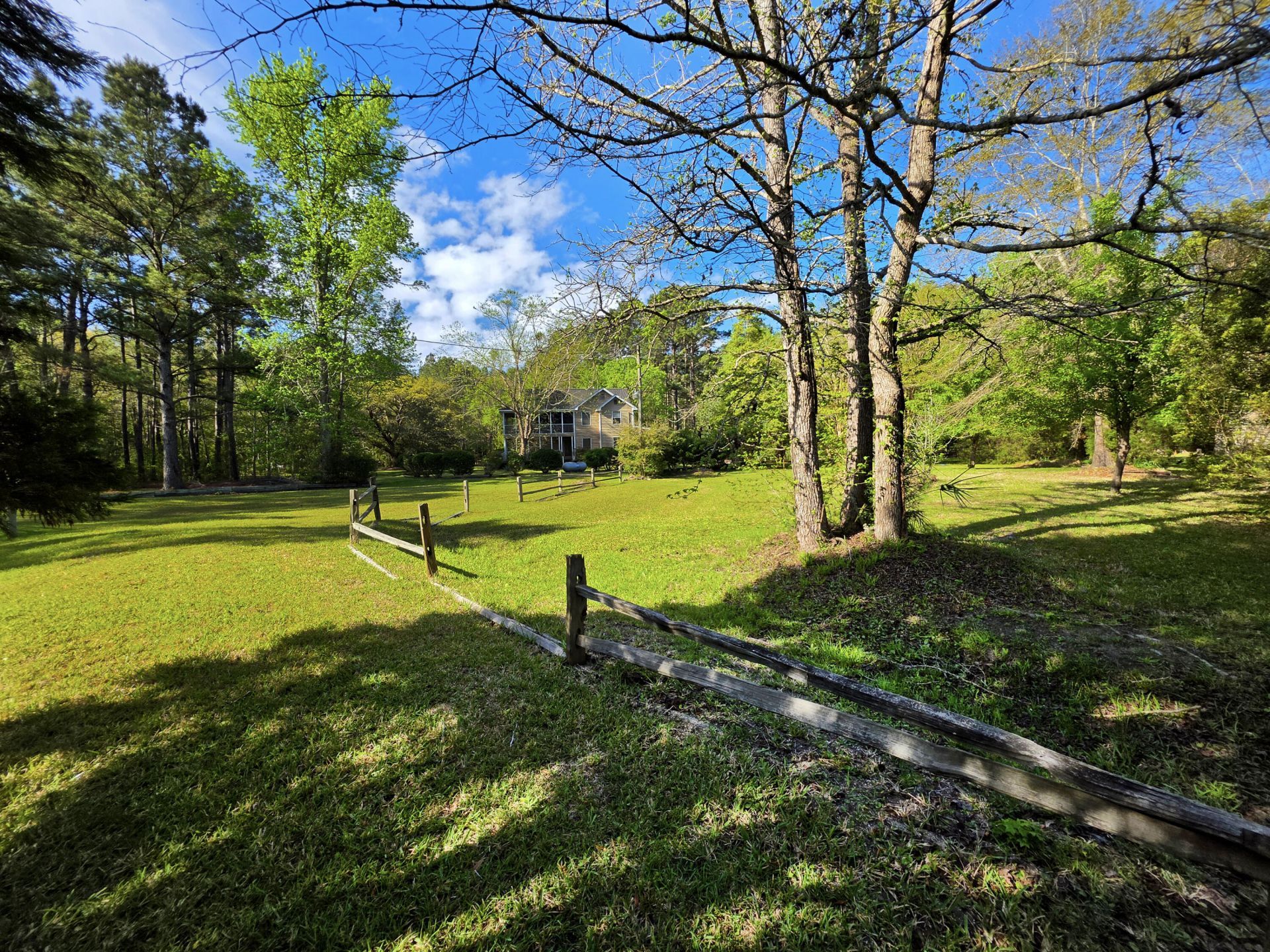 1183 White Road Photo 18