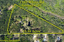 1183 White Road photo 4