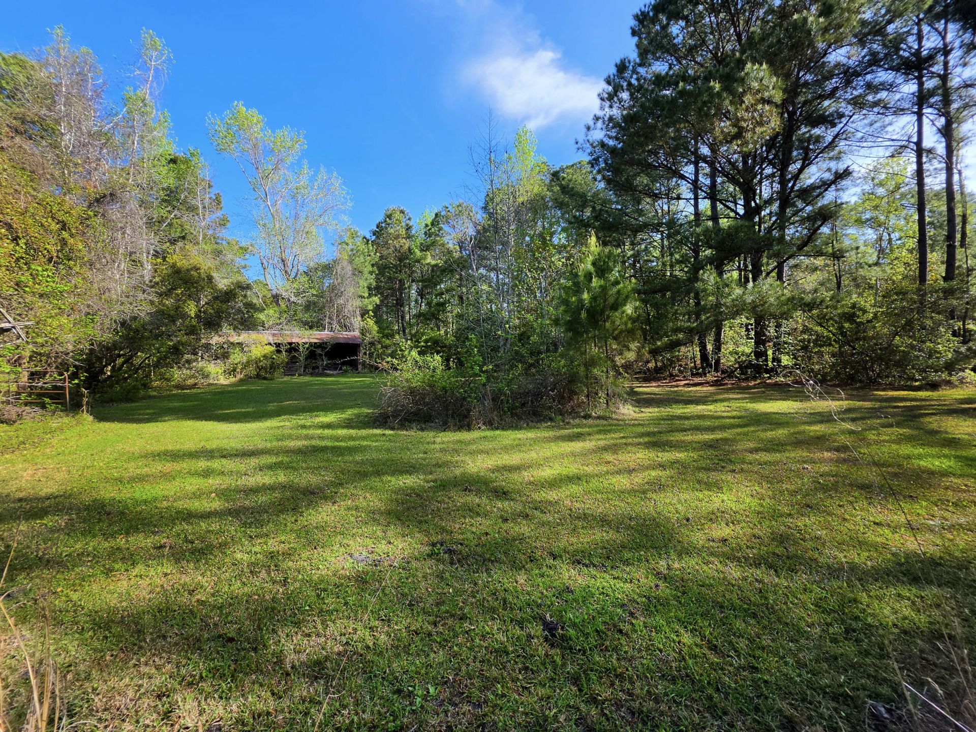 1183 White Road Photo 20