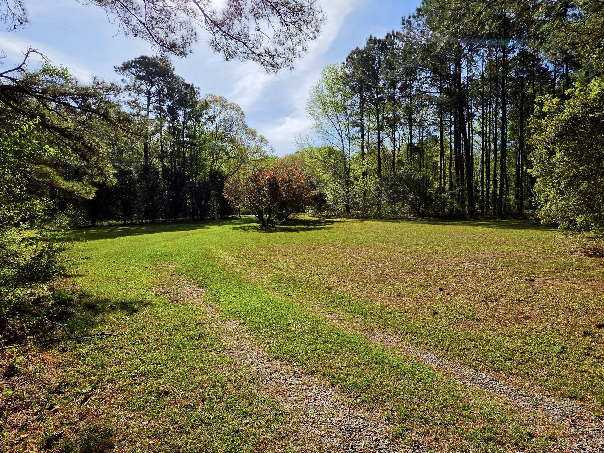 1183 White Road Photo 22