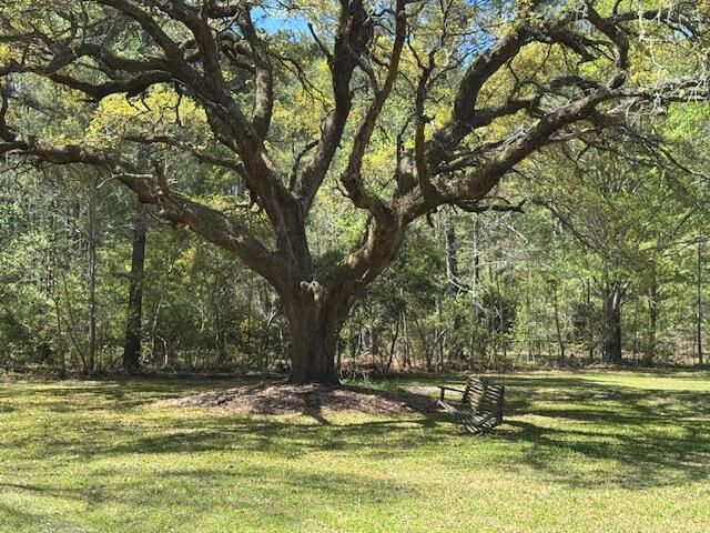 1183 White Road Photo 23