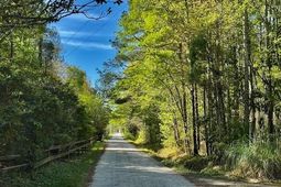 1183 White Road photo 4