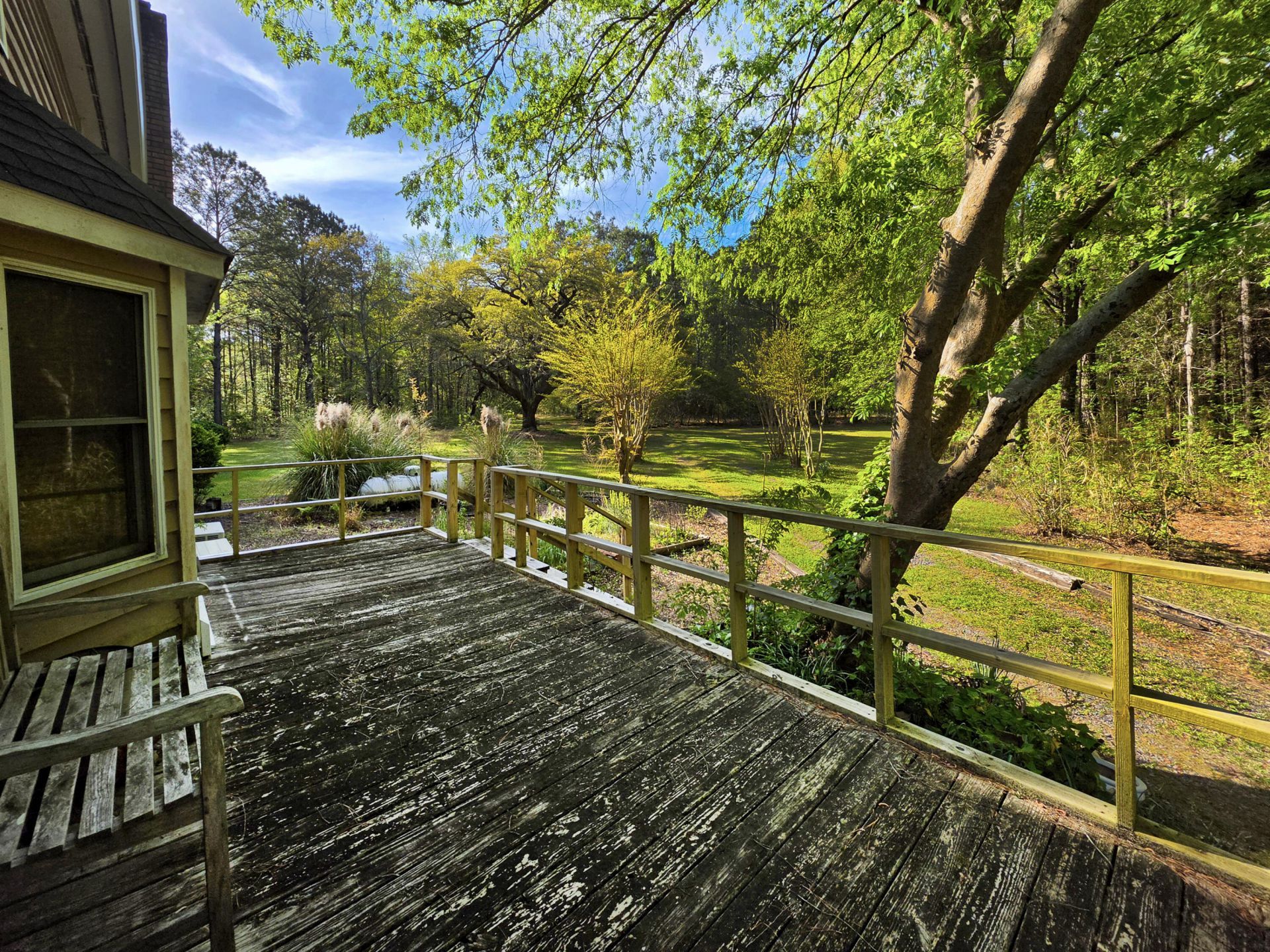 1183 White Road Photo 34