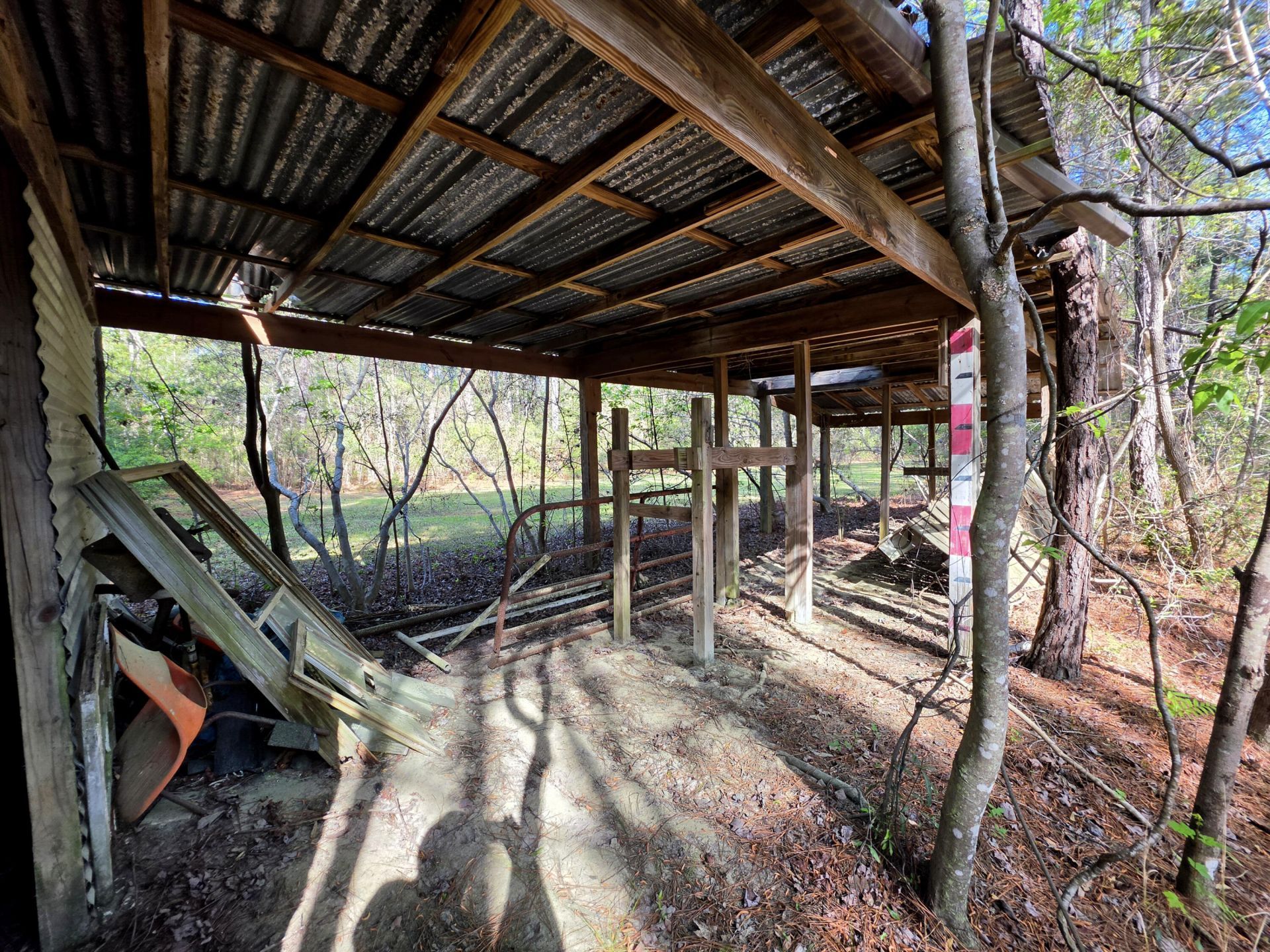 1183 White Road Photo 36