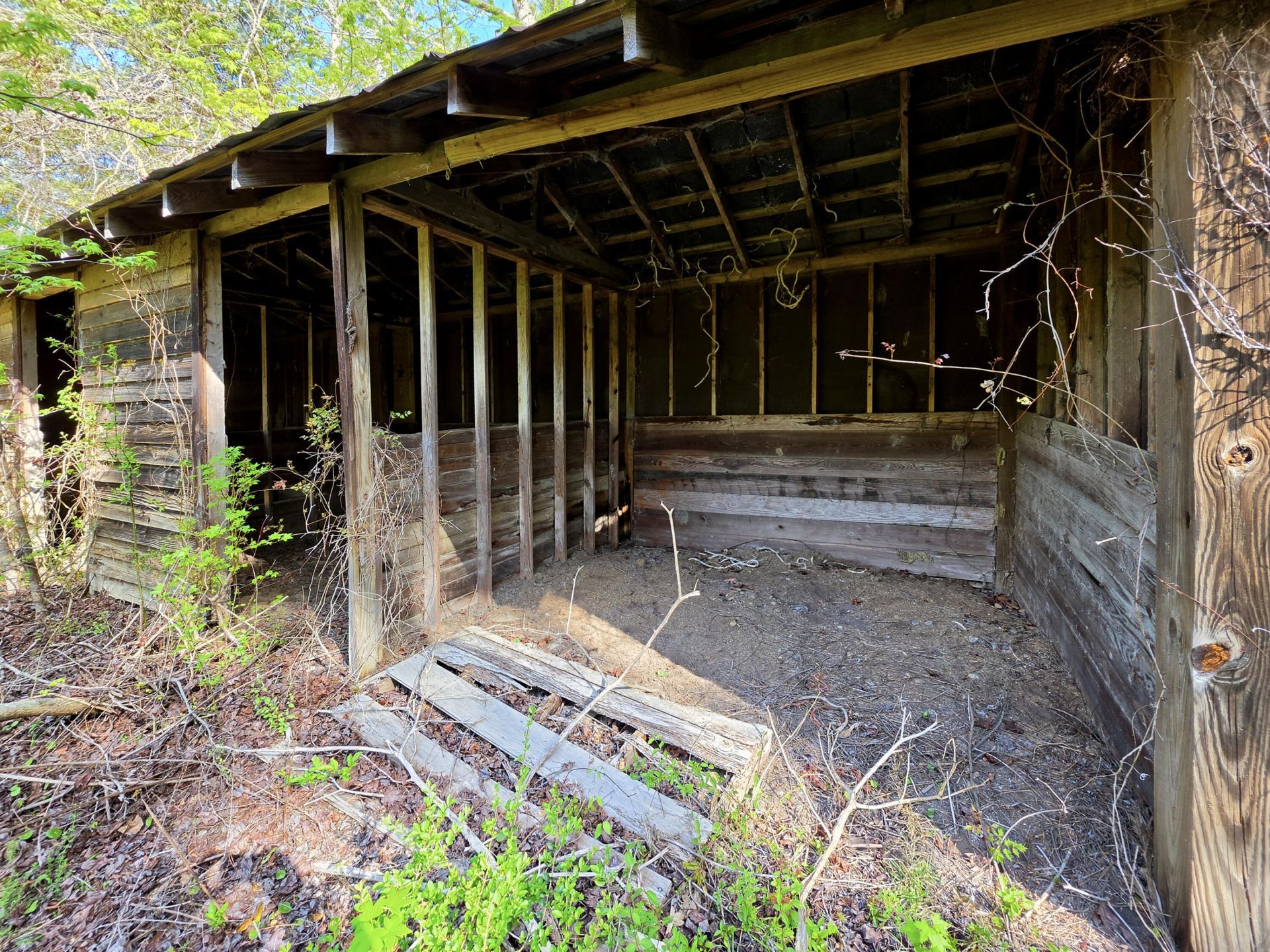 1183 White Road Photo 37