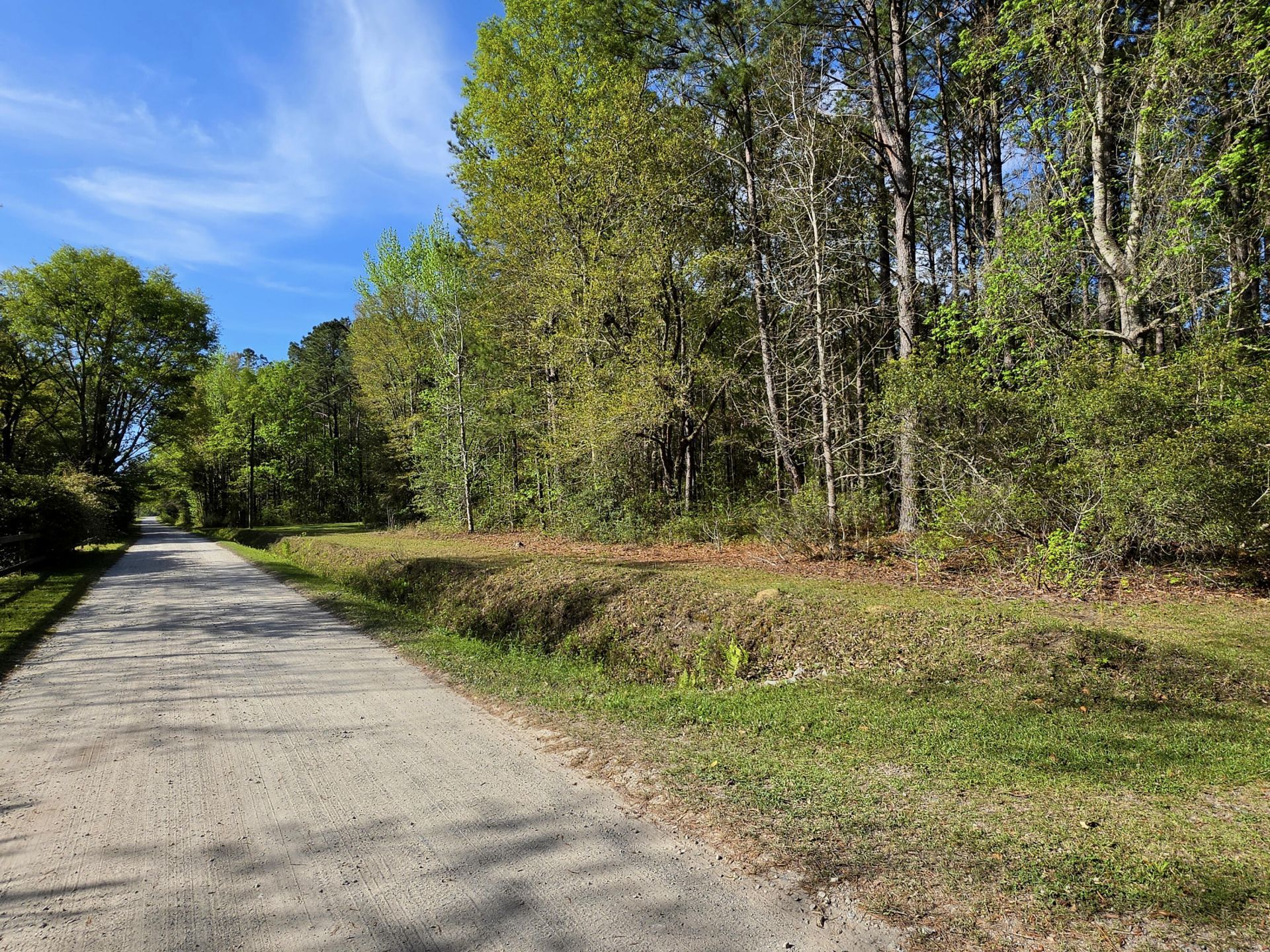 1183 White Road Photo 39