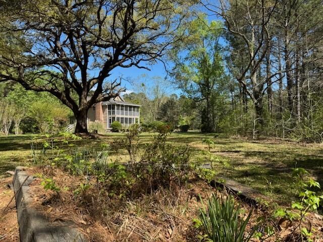 1183 White Road Photo 6