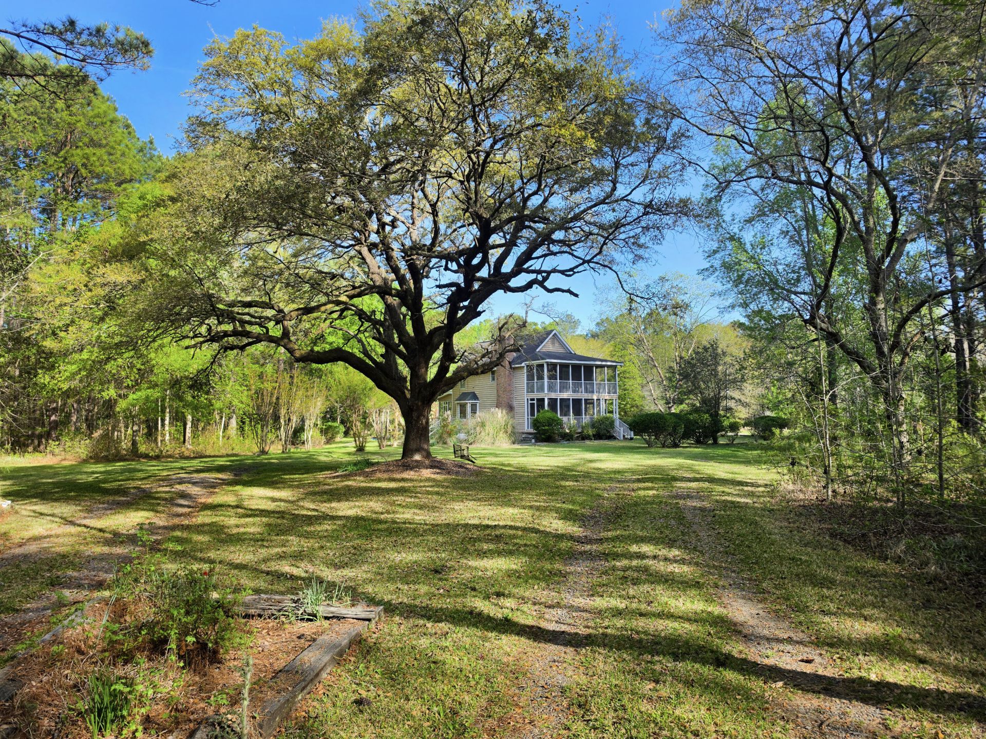 1183 White Road Photo 7