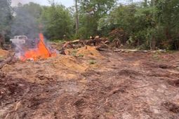 Tbd Pennington Drive photo 4