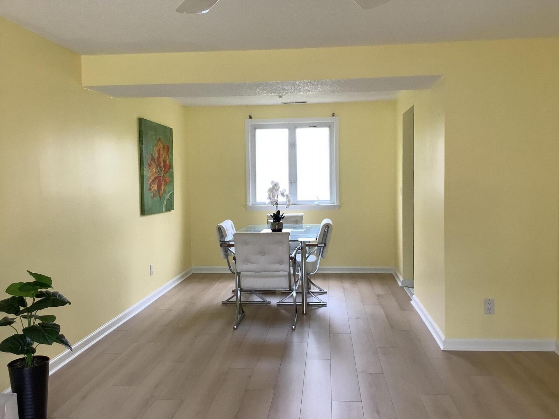 4915 Sierra Court Photo 8