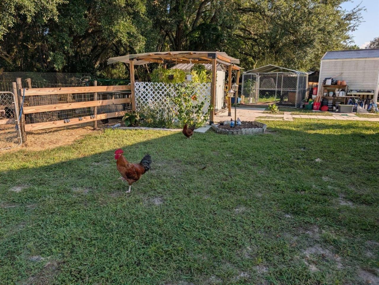 15243 S Highway 25, Weirsdale, FL 32195 Photo