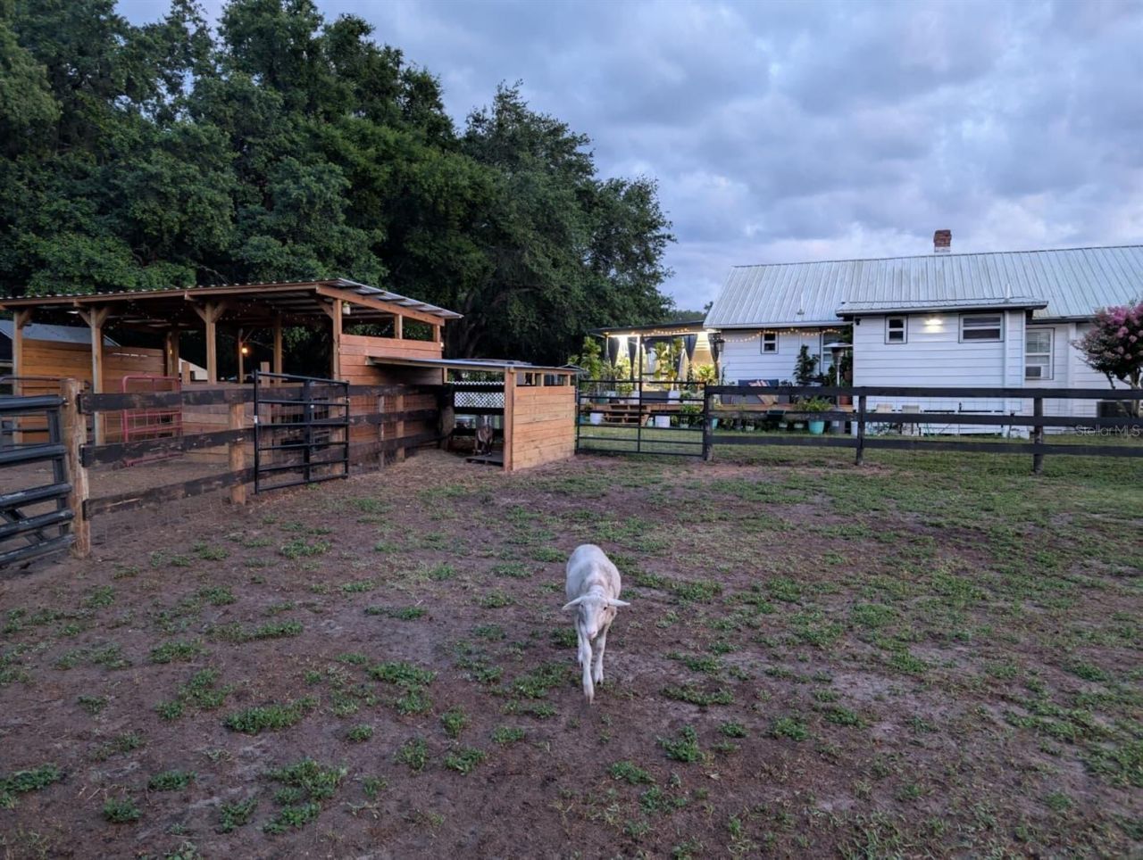 15243 S Highway 25, Weirsdale, FL 32195 Photo