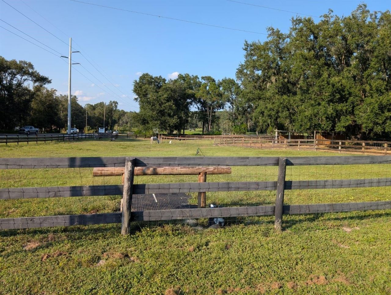 15243 S Highway 25, Weirsdale, FL 32195 Photo