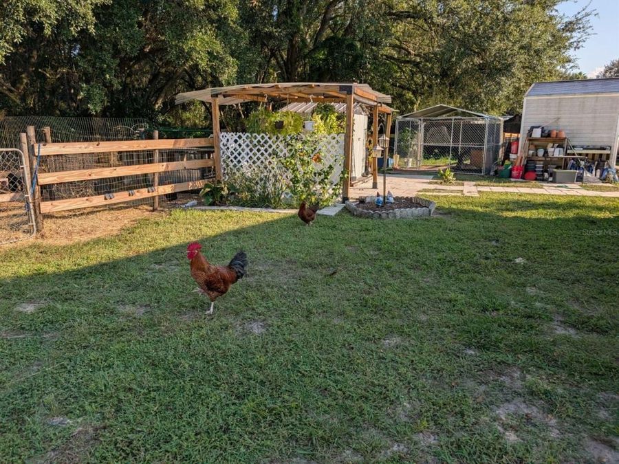 Property Image 64