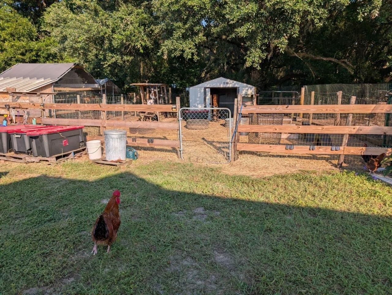 15243 S Highway 25, Weirsdale, FL 32195 Photo