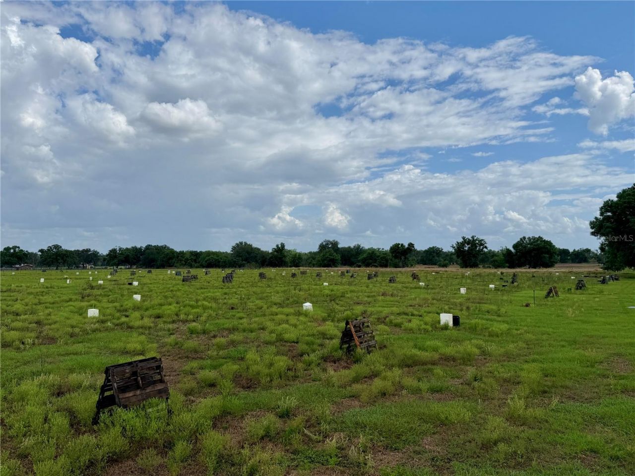 W St Rd 64 , Wauchula, FL 33873 Photo