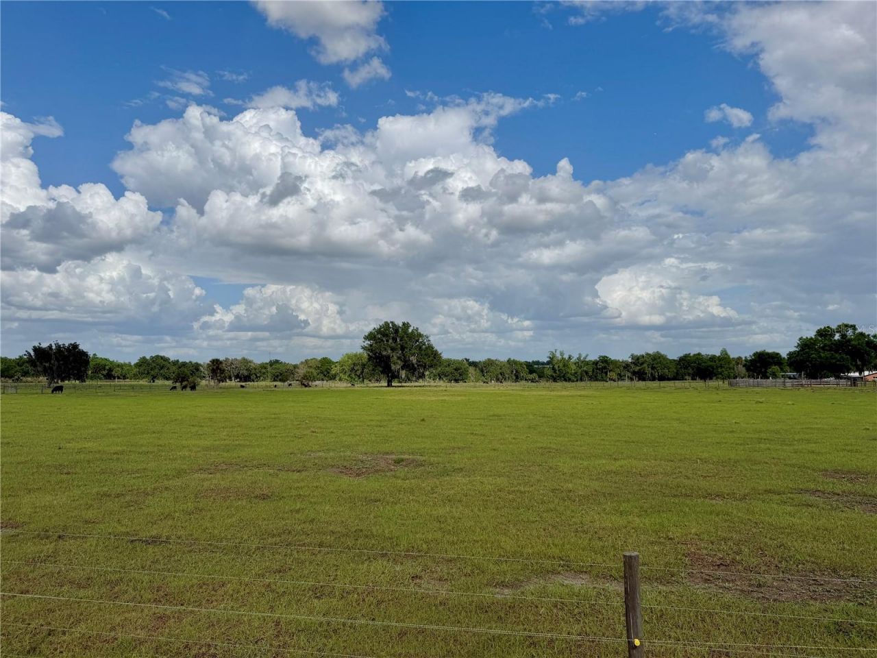 W St Rd 64, Wauchula, FL 33873 Photo