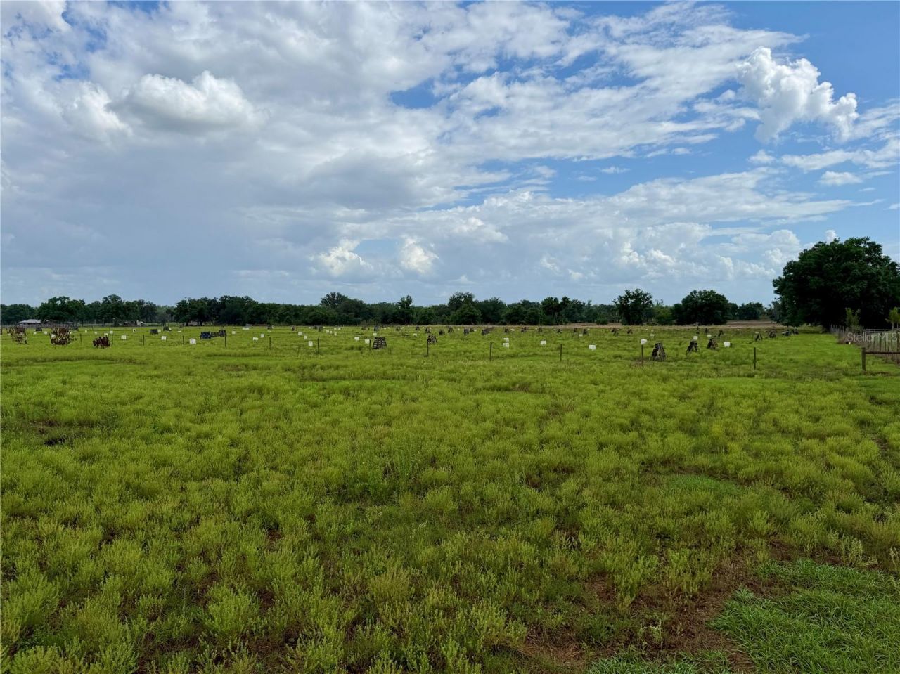 W St Rd 64, Wauchula, FL 33873 Photo