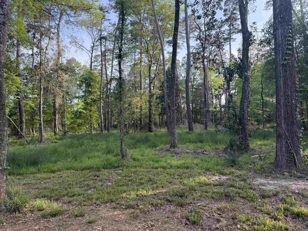 1-B-2-A-4 Clinton Allen Rd, Denham Springs, LA 70706