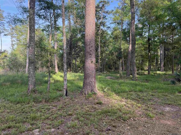 1-B-2-A-3 Clinton Allen Rd, Denham Springs, LA 70706