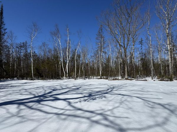 Lot 195 Kauffman Road, Presque Isle, MI 49777