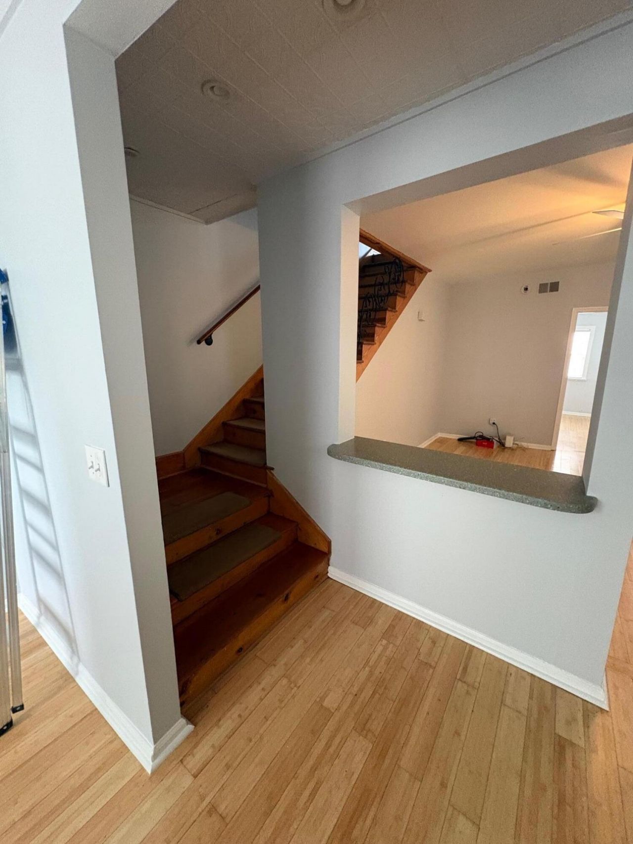 19 Rose Lane Photo 18