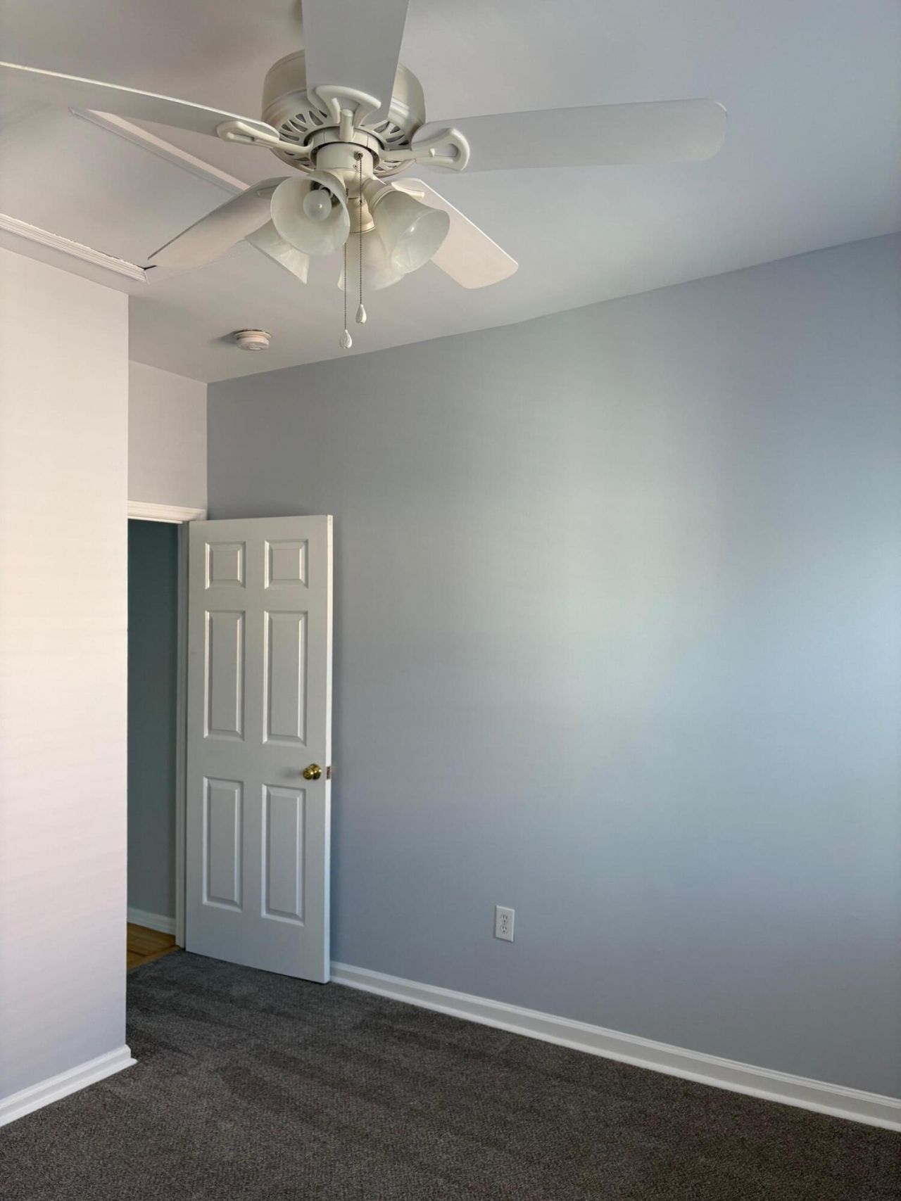 19 Rose Lane Photo 22