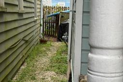 19 Rose Lane photo 4