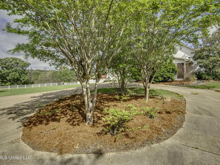 Property Image 85