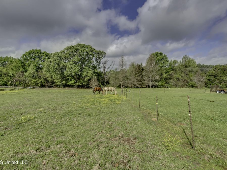 Property Image 87