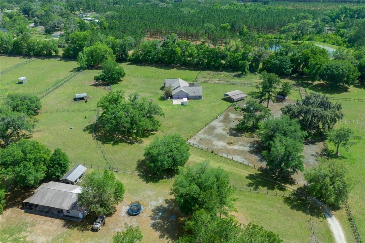 13456 W Highway 318, Williston, FL 32696 Photo
